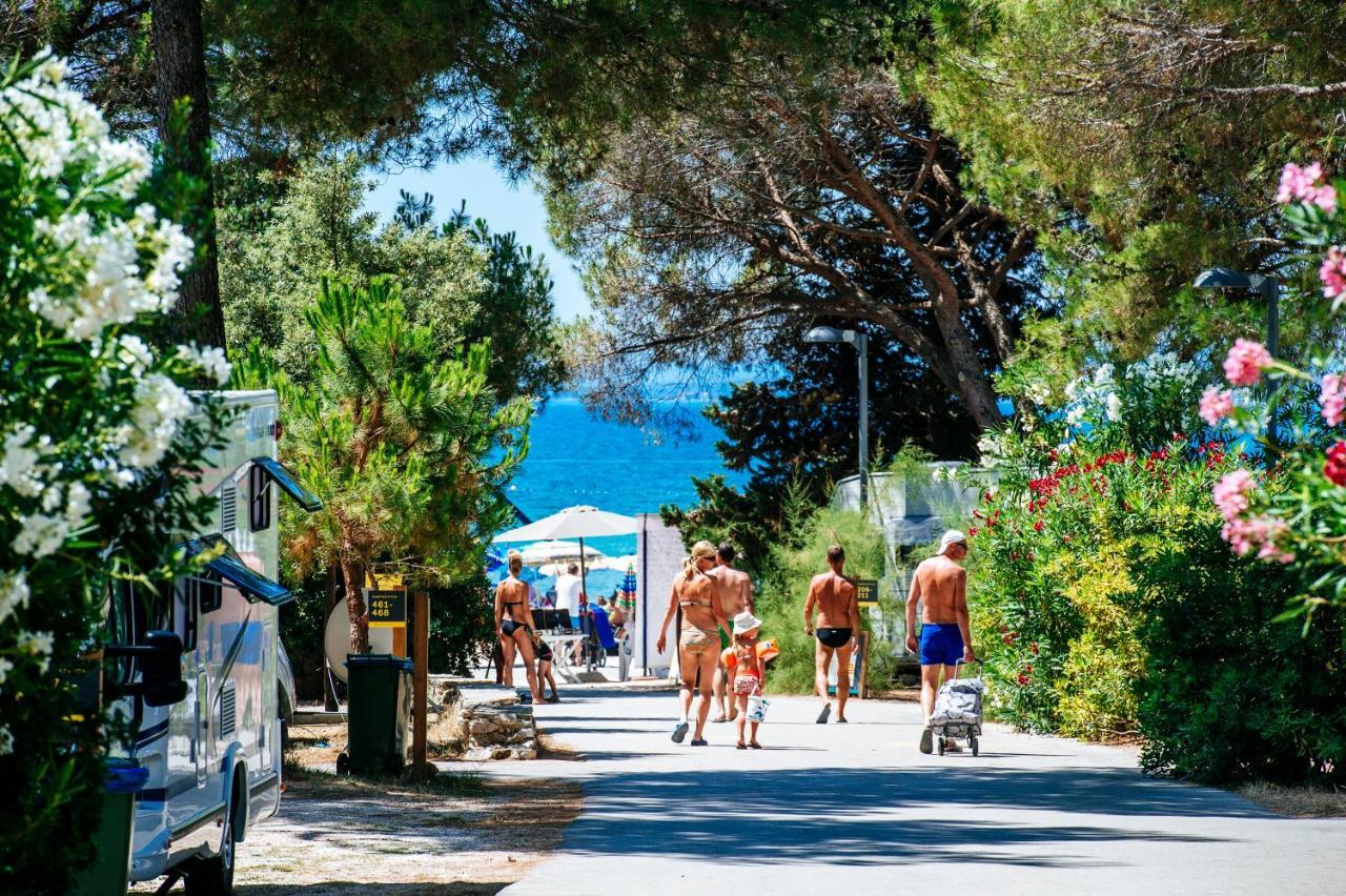 Salve Croatia Mobile Homes In Zaton Holiday Resort Exteriér fotografie